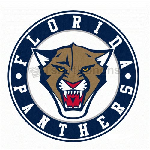 Florida Panthers T-shirts Iron On Transfers N169 - Click Image to Close